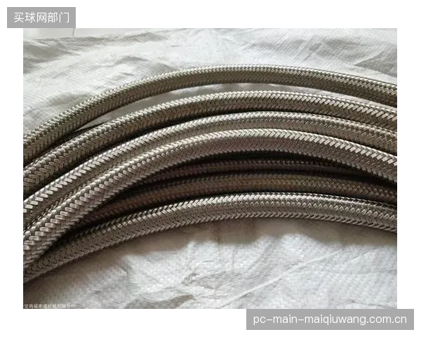 超过85%的顶级联赛要求面罩不锈钢丝屈服强度达到850MPa,新标准让这一非官方数据成为硬性指标 超过85%的顶级联赛要求面罩不锈钢丝屈服强度达到850MPa,新标准让这一非官方数据成为硬性指标